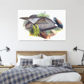 Vintag Koklass Pheasant Bird Leinwanddruck (Insitu (Schlafzimmer))