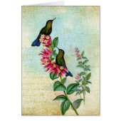 Vintag Kolibris, Gute Besserung (Vorne)