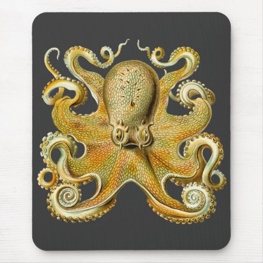 Vintag Kraken, Octopus Gamochonia, Ernst Haeckel Mousepad (Vorne)