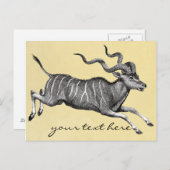 Vintag Kudu Postcard Postkarte (Vorne/Hinten)