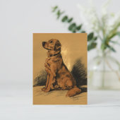 Vintag Labrador Postkarte (Stehend Vorderseite)