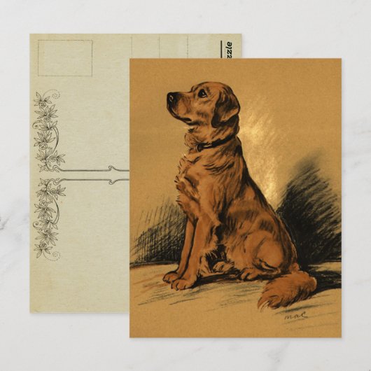 Vintag Labrador Postkarte (Vorne/Hinten)