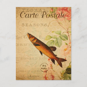 Vintag Lachs Typ Fische Blumenkohl Blume Französis Postkarte