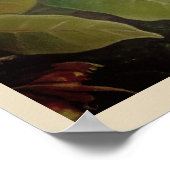 Vintag L'Amazone Travel Poster (Ecke)