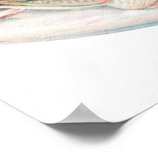 Vintag Largemouth Bass Poster (Ecke)