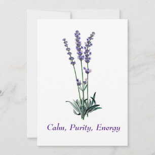Vintag Lavendel Blume Tote Tasche Einladung