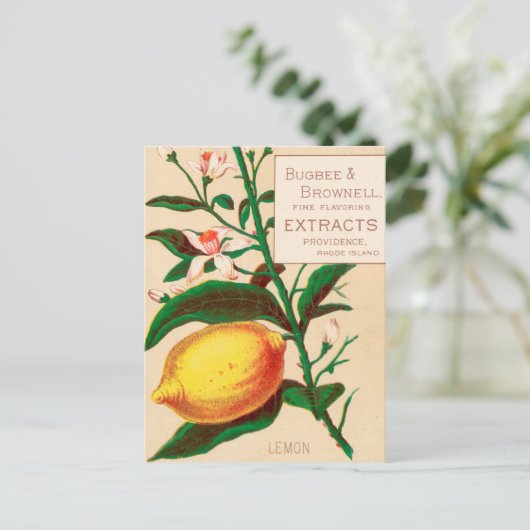 Vintag: Lebensmittelwerbung - Postkarte (Stehend Vorderseite)