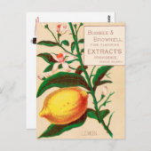 Vintag: Lebensmittelwerbung - Postkarte (Vorne/Hinten)