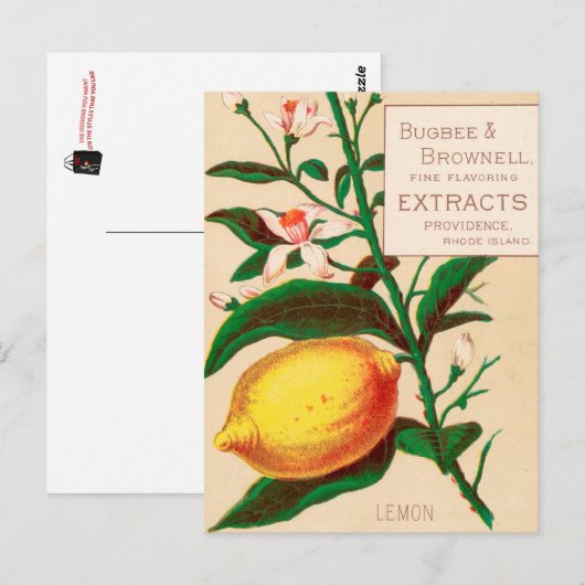 Vintag: Lebensmittelwerbung - Postkarte (Vorne/Hinten)