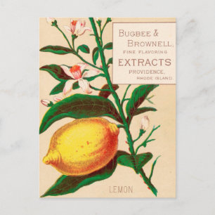 Vintag: Lebensmittelwerbung - Postkarte