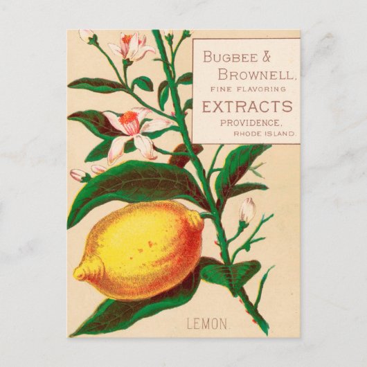 Vintag: Lebensmittelwerbung - Postkarte (Vorderseite)