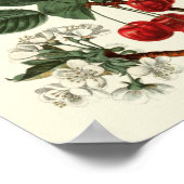 Vintag-lehrbotanisch Poster (Ecke)