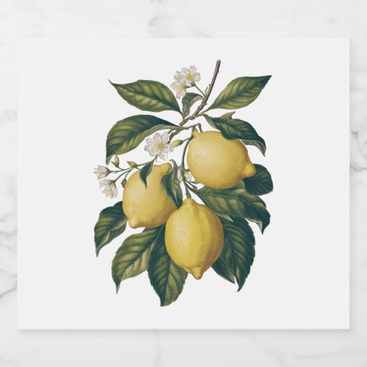 Vintag Lemon Alkoholflaschenetikett (Einzelnes Label)