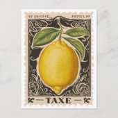 Vintag Lemon Botanisches Obst Postkarte (Vorderseite)
