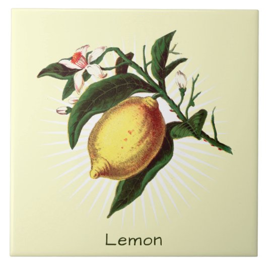 Vintag Lemon Frucht Botanische Keramik Fliese (Vorderseite)