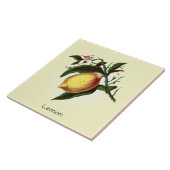 Vintag Lemon Frucht Botanische Keramik Fliese (Seite)