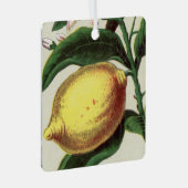 Vintag Lemon Ornament Aus Metall (Vorderseite Rechts)