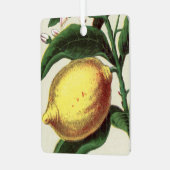 Vintag Lemon Ornament Aus Metall (Vorderseite links)