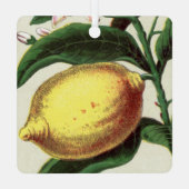 Vintag Lemon Ornament Aus Metall (Rückseite)