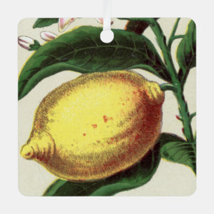 Vintag Lemon Ornament Aus Metall