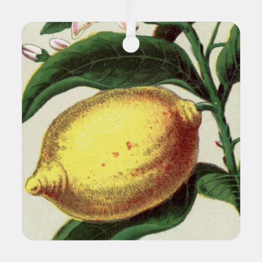 Vintag Lemon Ornament Aus Metall (Vorderseite)