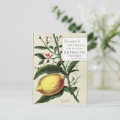 Vintag Lemon Postkarte (Stehend Vorderseite)