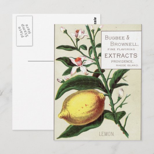 Vintag Lemon Postkarte (Vorne/Hinten)