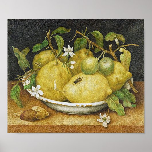 Vintag Lemon Still Life Poster (Vorne)