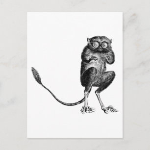 Vintag Lemur Postkarte