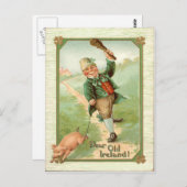 Vintag Leprechaun Pig Shillelagh St Patrick's Day Postkarte (Vorne/Hinten)