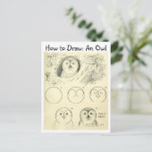Vintag lernen, wie man eine Eule Zeichne Postkarte (Stehend Vorderseite)