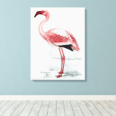 Vintag Lesser Flamingo Claude Gibney Finch Davies Leinwanddruck (Insitu (Holzboden))