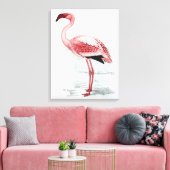 Vintag Lesser Flamingo Claude Gibney Finch Davies Leinwanddruck (Insitu (Wohnzimmer))
