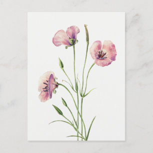 Vintag Lilac Mariposa Blume Postkarte
