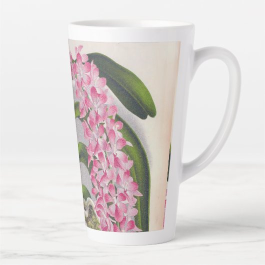 Vintag Lilac Orchid Aerides Fieldingi Lindenia Milchtasse (Rechts)