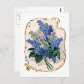Vintag Lilacs Postkarte (Vorne/Hinten)