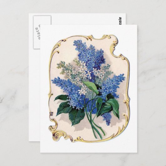 Vintag Lilacs Postkarte (Vorne/Hinten)