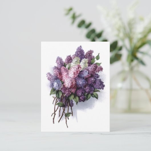 Vintag Lilacs Postkarte (Stehend Vorderseite)