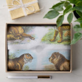 Vintag Lion Tiger Decoupage Collage Seidenpapier (Geschenk)