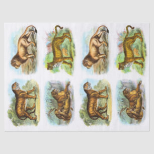 Vintag Lion Tiger Decoupage Collage Seidenpapier