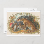 Vintag Little Tigers Postkarte (Vorne/Hinten)