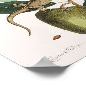 Vintag Lizard Illustration Poster (Ecke)