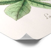 Vintag Lizard Illustration Poster (Ecke)