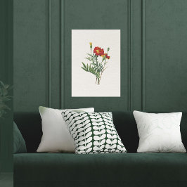 Vintag Look Botanische Marigolds Poster