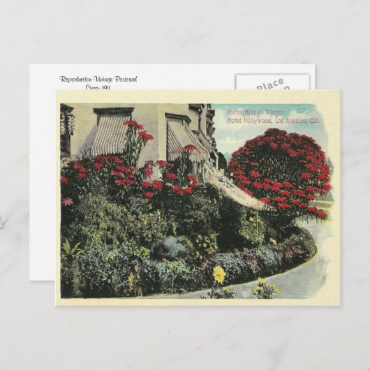 Vintag Los Angeles Kalifornien Postkarte (Vorne/Hinten)
