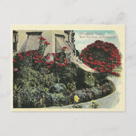 Vintag Los Angeles Kalifornien Postkarte (Vorderseite)
