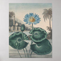 Vintag Lotus