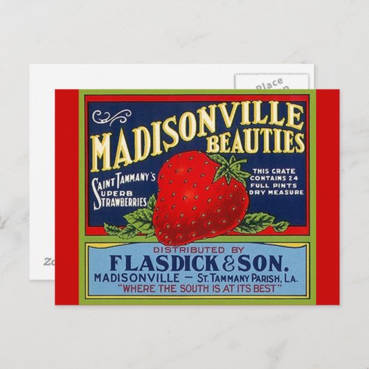 Vintag Madisonville LA Strawberry Crate Postkarten (Vorne/Hinten)