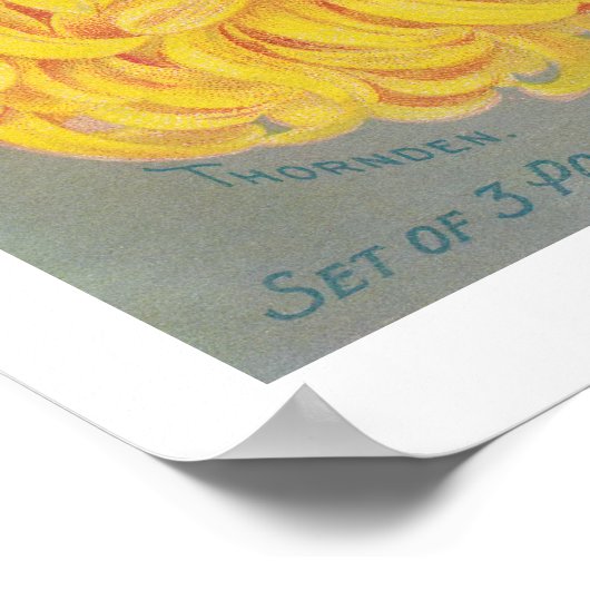 Vintag Magnificent Mums Poster (Ecke)