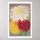 Vintag Magnificent Mums Poster (Vorne)